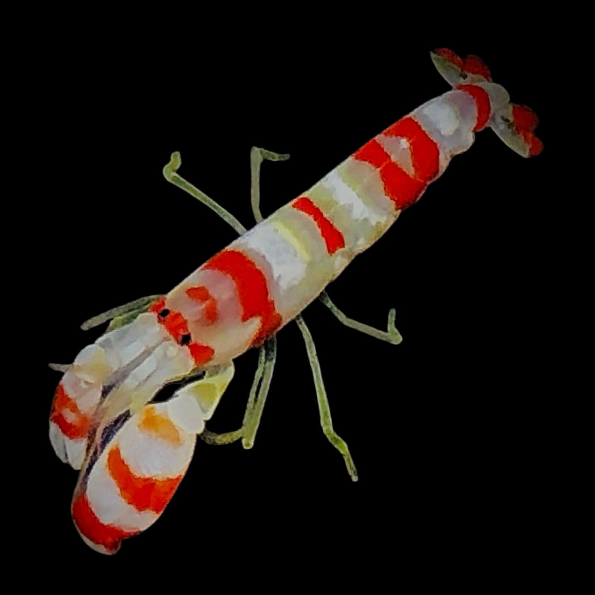 71842624-5439-44F4-A30C-