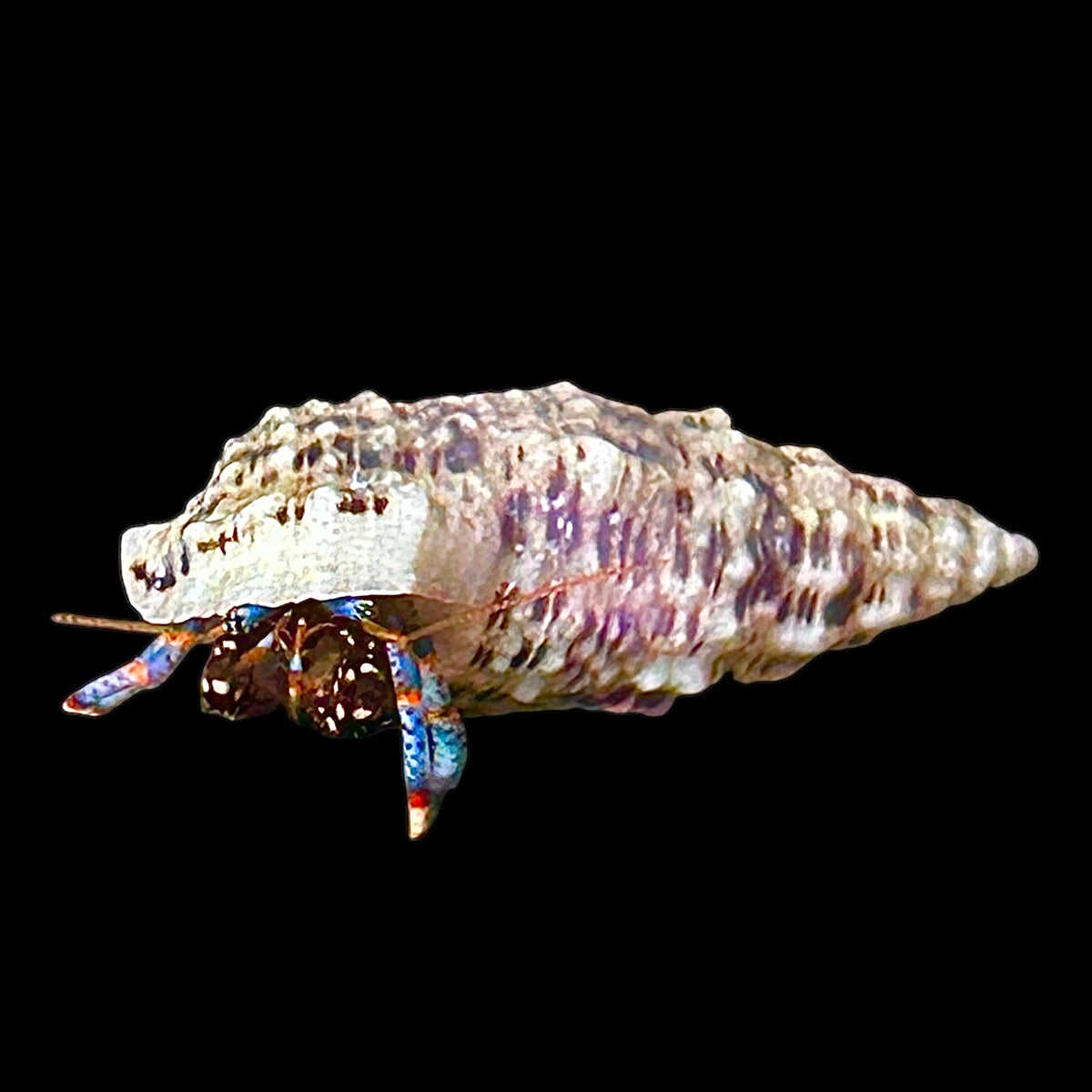 7270E99C-5A49-469A-887C-