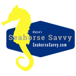 Alyssa's Seahorse Savvy